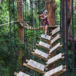 Tree Top Challenge 3