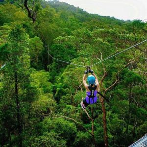 Tree Top Challenge 4